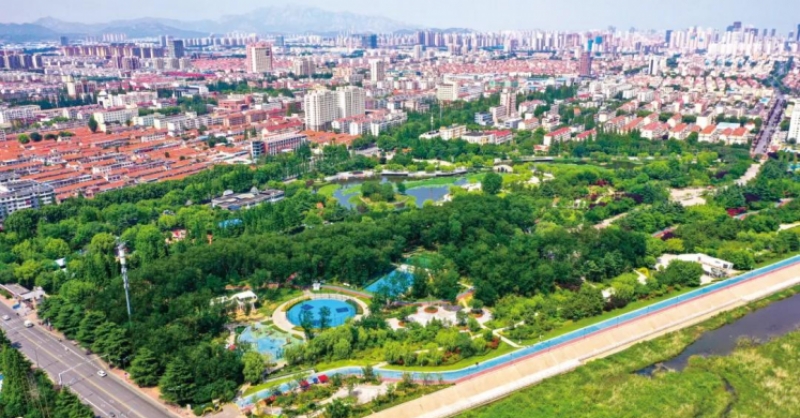 黄发集团荣获新区2023年度城市更新和城市建设工作先进单位